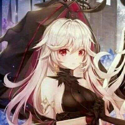 王艺迪vs温特